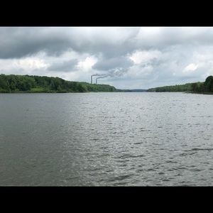 Meet your Posher, Fallon